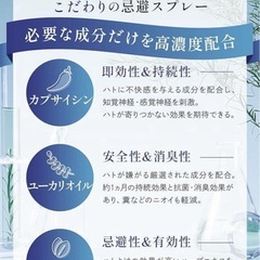 ハト、だめ。300mL 忌避ラボ ハト忌避剤の画像