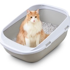 猫 トイレ
