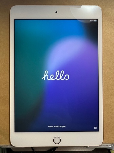 【美品】ipad mini 5 256GB