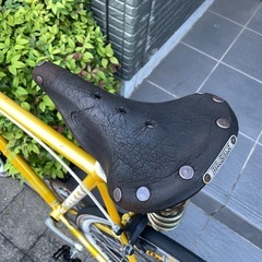 FUJI Feather 2010の画像