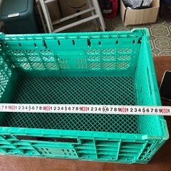 オリコン　未洗浄の画像