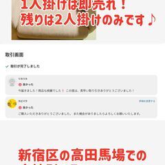 ソファベッド 三つ折り コンパクトタイプ（2人用）の画像