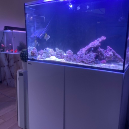 ※訳あり　リーファー250