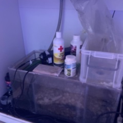 ※訳あり　リーファー250の画像