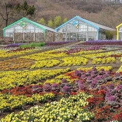 【栃木市みかも山】 9月28(日） 14:00～  予約1…