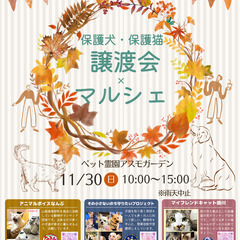 保護犬・保護猫譲渡会×マルシェ