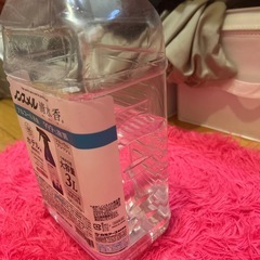 ノンスメル 清水香 の画像