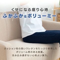 <予約中>2人
用のソファ(アイリスオヤマ)の画像