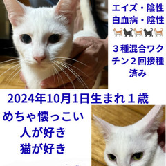 譲渡会参加