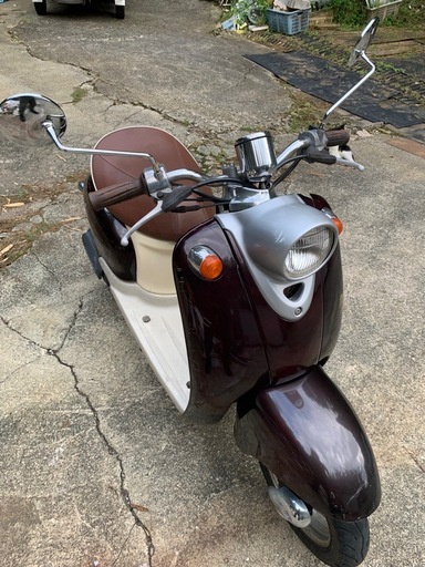 ツーストビーノ