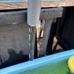 メダカ、タライ用排水パイプ🚿の画像