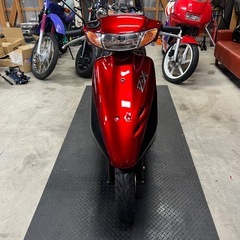 ホンダ ライブDIOの画像