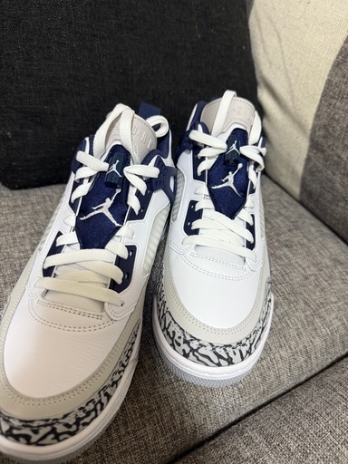 ナイキ ジョーダン スパイジーク