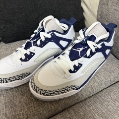 ナイキ ジョーダン スパイジークの画像