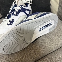 ナイキ ジョーダン スパイジークの画像