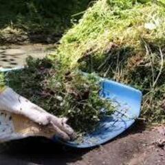 造園作業等の手元募集！　週1から可能。　高齢者・外国人大歓迎。　週払い・手渡し可。の画像