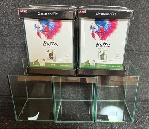 GEX グラステリアフィット ベタ 150 ⑤個セット