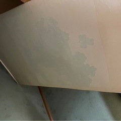 蘇葆楨 墨葡萄 水墨画の画像