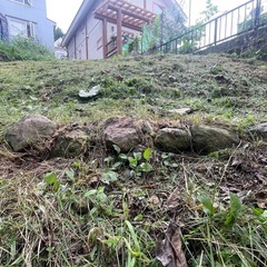 刈払機 草刈機 
実働の画像