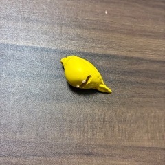 ガチャ　鳥　ケーブル紐アクセ　　の画像