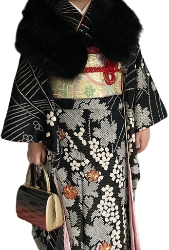 成人式　振袖セット