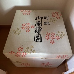 ⭐️9/27.28限定⭐️座布団　5枚の画像