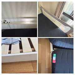 	•	【急募／9/26締切】まとめてもっていってくれる方募集の画像