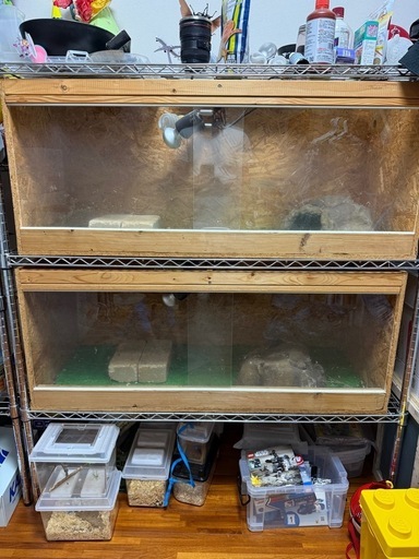 爬虫類　飼育　ゲージ