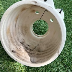 豚の蚊取り線香置きの画像