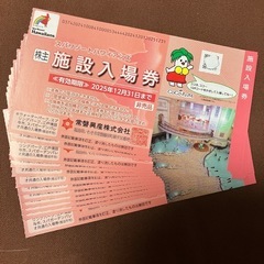 スパリゾートハワイアンズ  入場券