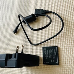 デジカメの画像