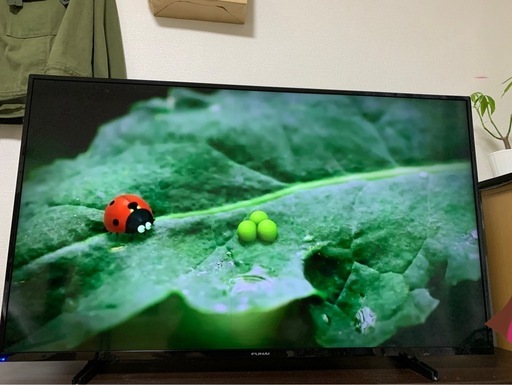 FUNAIテレビ　2020年　50インチ4K液晶　 (値段交渉可能)