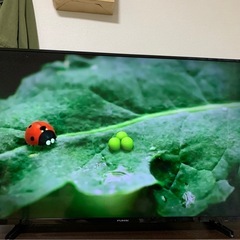 FUNAIテレビ　2020年　50インチ4K液晶　の画像