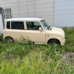 急募　引き取りに来れる方の画像