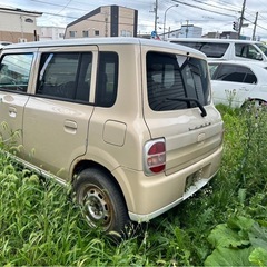 急募　引き取りに来れる方の画像