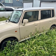 急募　引き取りに来れる方の画像