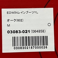 EDWINレインぶーぶーの画像