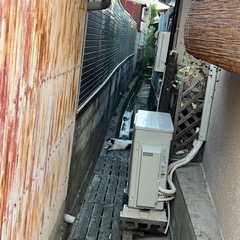 【保護猫活動🐈】ご支援&ご協力のお願い