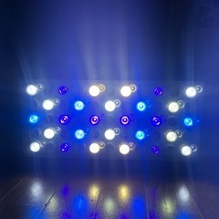 サンゴの育成と演色に特化した165W LEDライト プリズムレンズ　1台セットの画像
