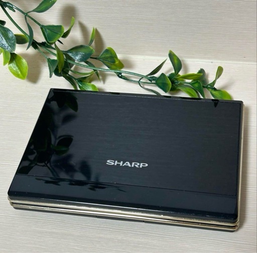 中古　美品】 SHARP 電子辞書 Brain PW-TC980 ワンセグ搭載