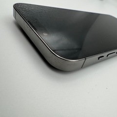 iPhone 13 Pro 256GB グラファイト(Ear Pods付き)の画像