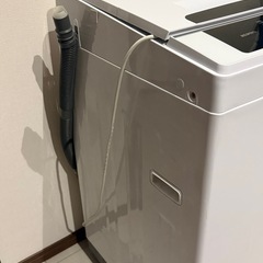2020年[ 6kg ]IRISOHYAMA の画像