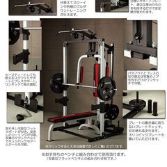 状態良好 IROTEC（アイロテック）マルチステーションラック 筋トレ トレーニングマシン+フラットベンチ　手渡し希望/自社配送可能（配送エリアについてお問い合わせください )の画像