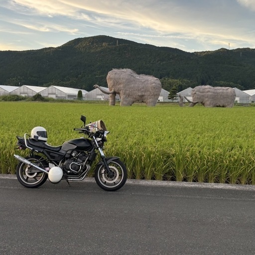 ホンダ ジェイド250