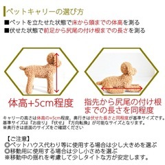ペットキャリーバッグ DX50 犬 猫 小型犬 小動物 ダブルドアの画像