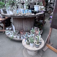ケーブルドラム１３０センチ（木目）
の画像