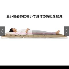 定価47,980円▪︎ブレスエアー【クイーンサイズ】の画像