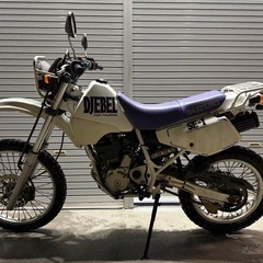 スズキ　ジェベル250 SJ44A 実働車　セル1始動　始動動画ありタイヤバリ山の画像