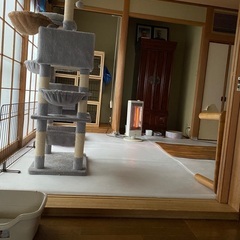 猫ちゃんのお世話 /  ペットケージと猫舎の清掃の画像