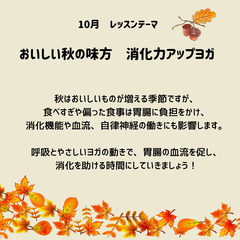 理学療法士によるオンライン朝ヨガ　~ヨガ初心者・身体の硬い人専門~　の画像